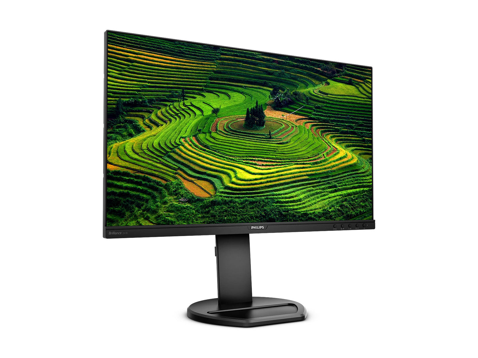 PHILIPS 24" Full HD 1920 x 1080 Frameless Display Monitor (241B8QJEB) Monitors.com 