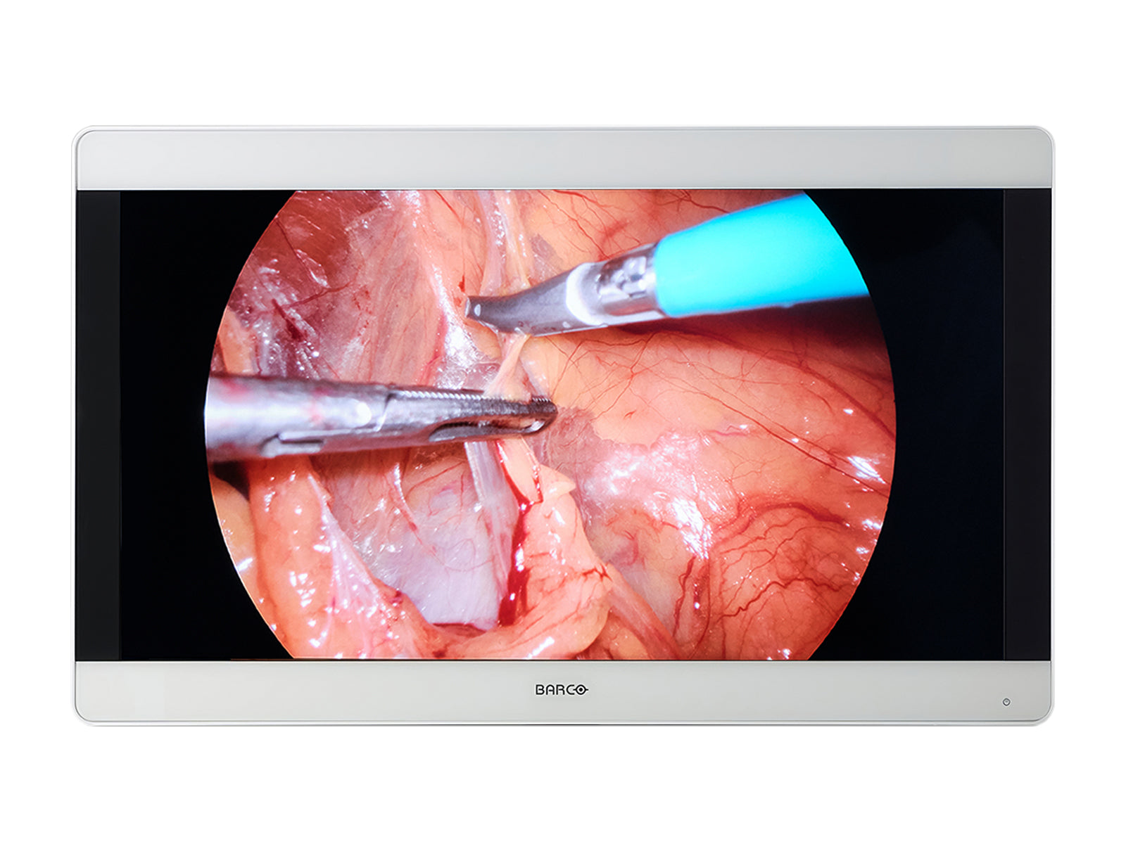 Barco MDSC-8231 MNA 31" 8MP 4K UHD Color Surgical Medical Display Monitor (K9307927)